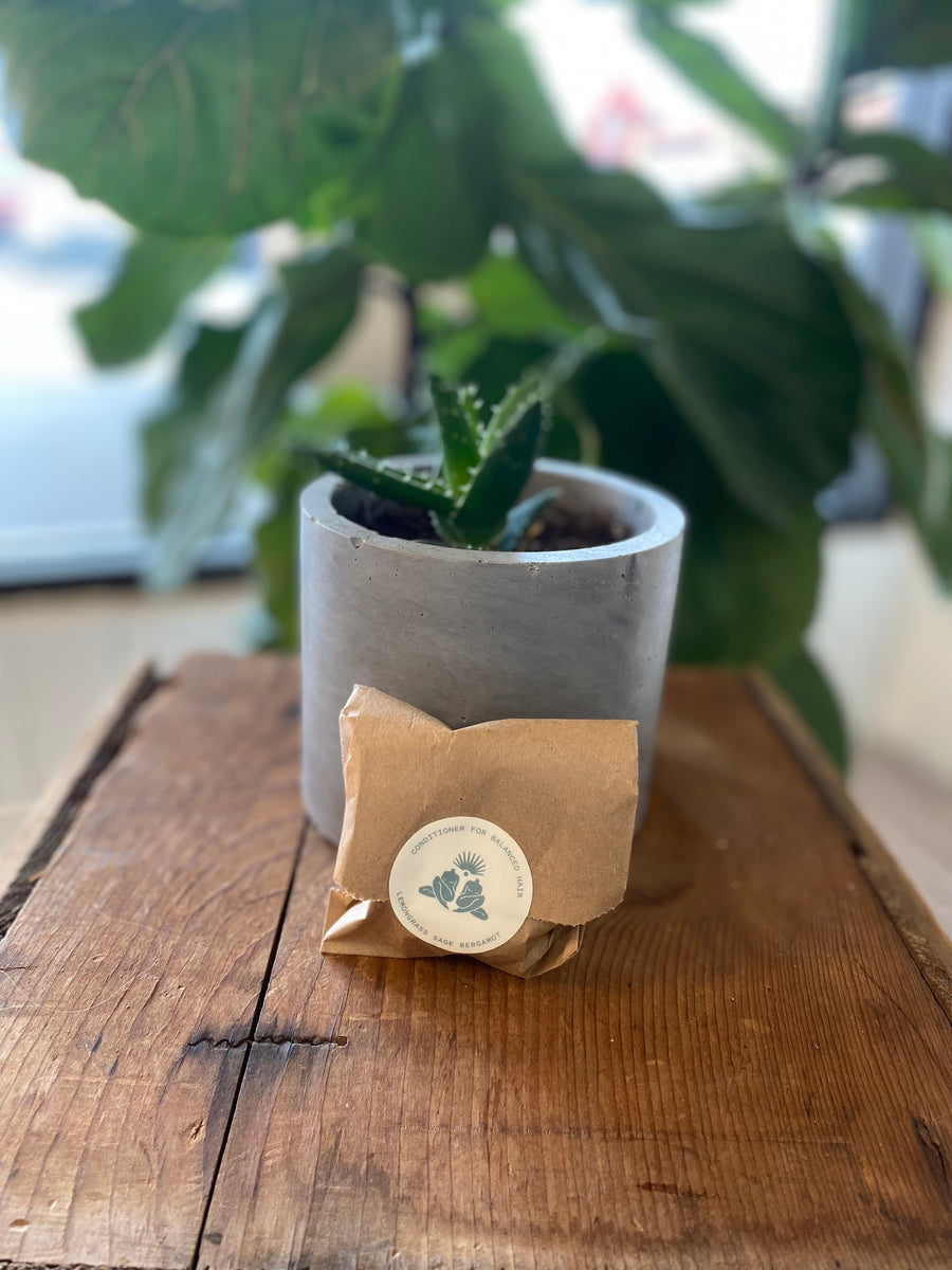 Good Juju Conditioner Bars Fill Kelowna