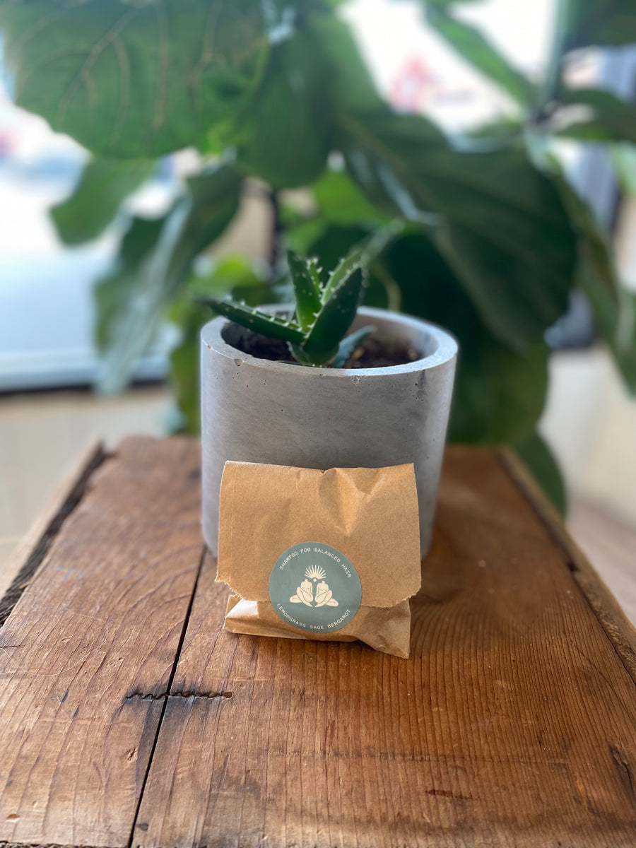 Good Juju Shampoo Bars Fill Kelowna