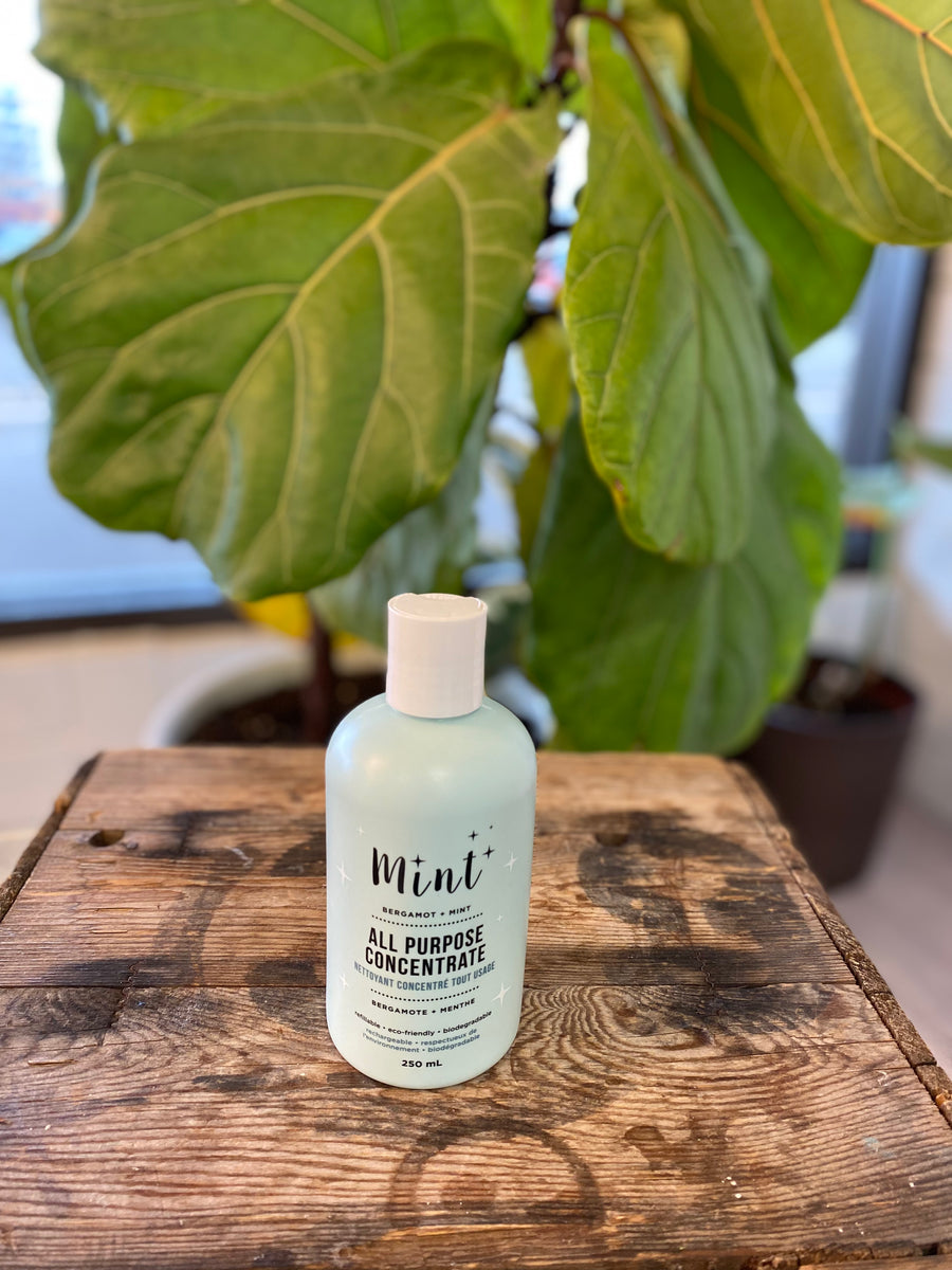 Mint Cleaning - All Purpose Cleaner Concentrate 250 ml – FILL - Kelowna ...