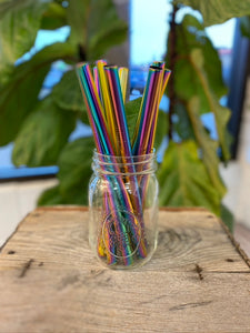 Life Without Waste- XL Wide Metal Straw