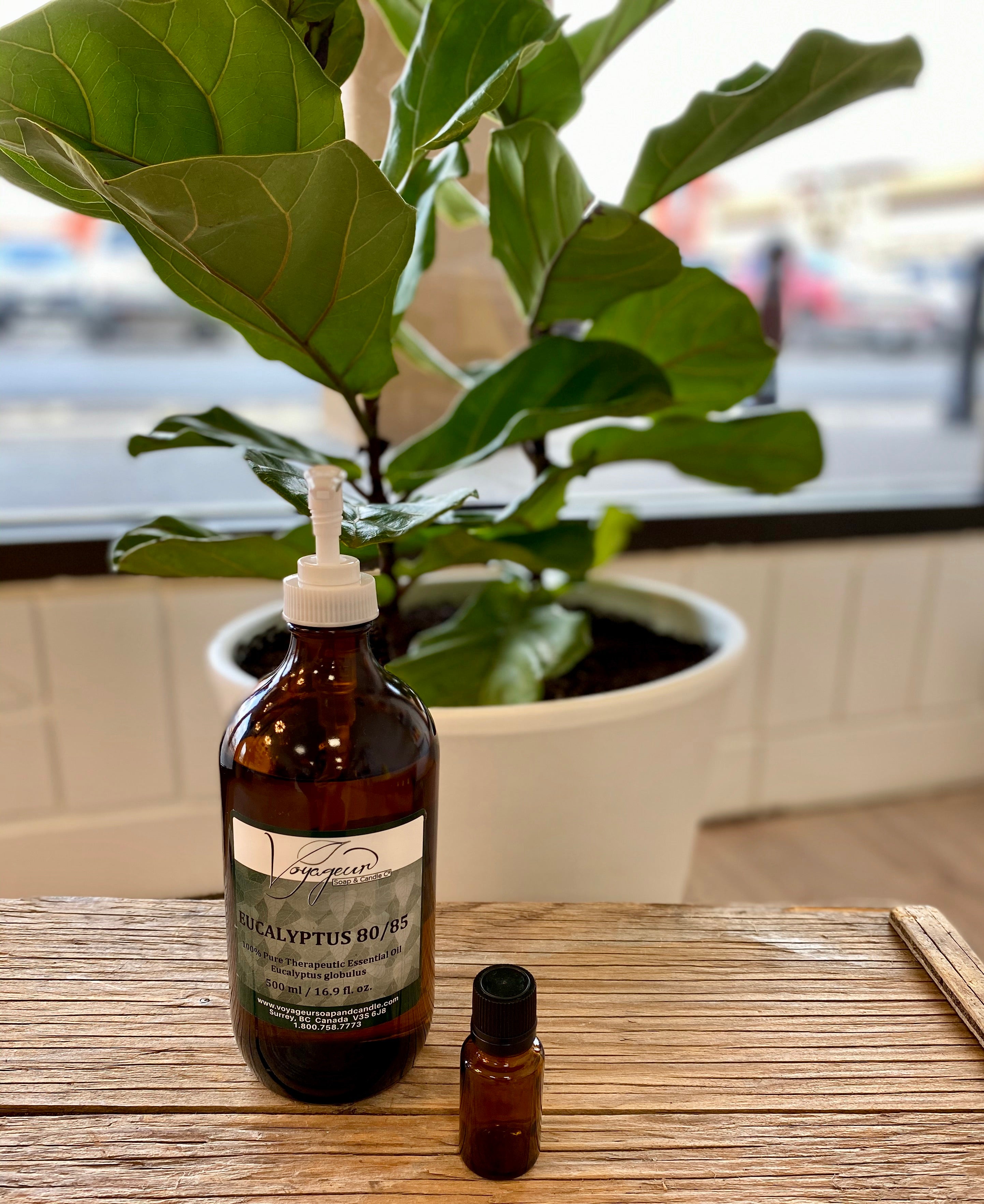 Essential Oils - Eucalyptus 15 ml Glass Bottle