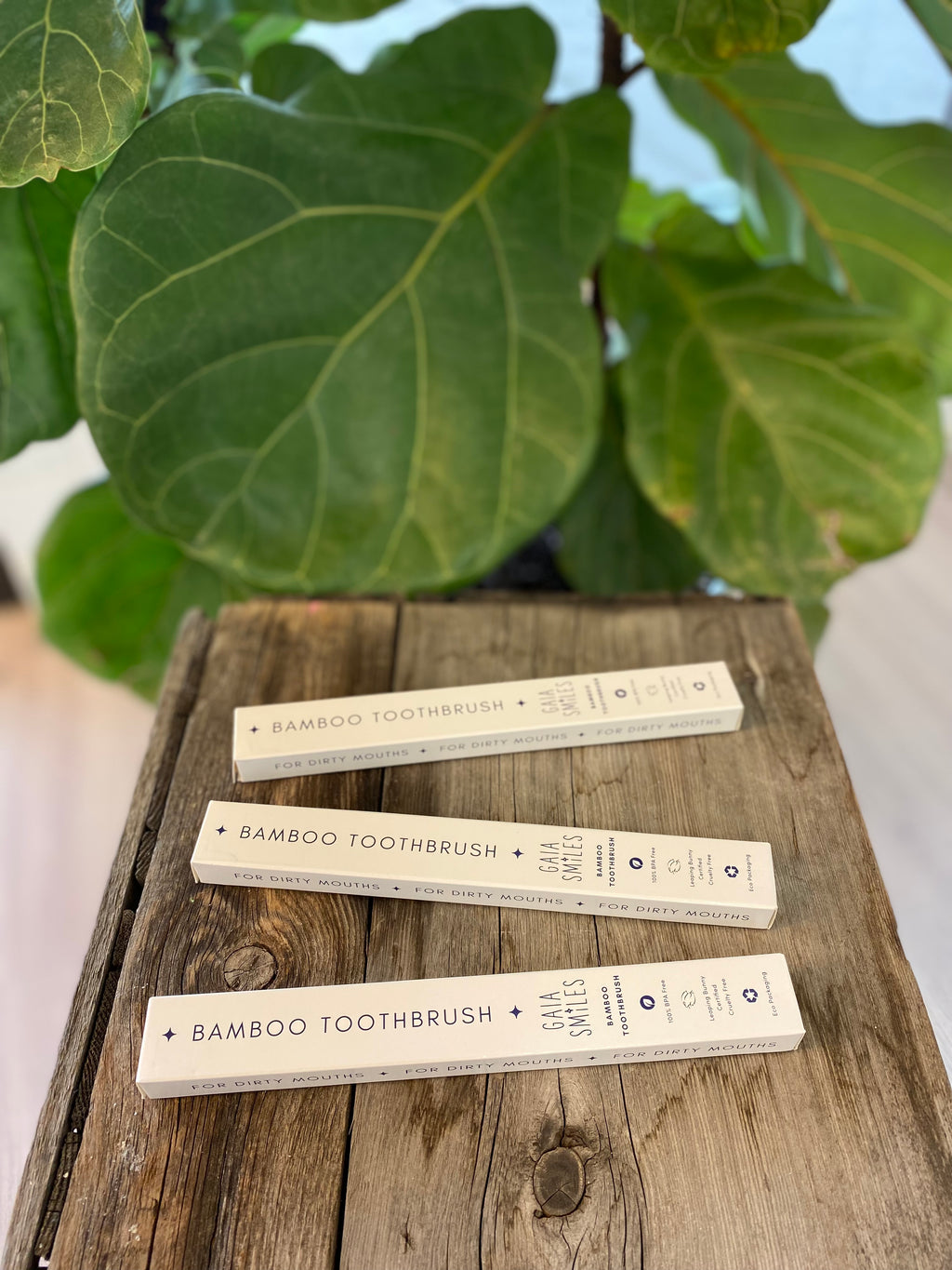 Gaia Smiles - Bamboo Toothbrush